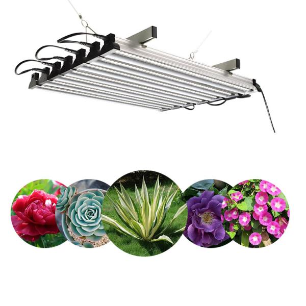 Hydroponic FCC 24W Adjustable Spectrum Led Grow Light Bulb High Power Ppfd Output