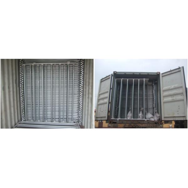 Hot Dip Galvanized Economic Cattle Crush