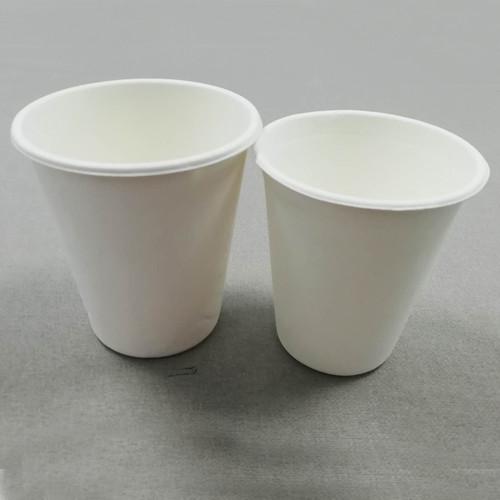 12 Oz Sugarcane Cup With Lid Eco-Friendly Sturdy Disposable Hot And Cold Beverages Cups, Coffee Cups