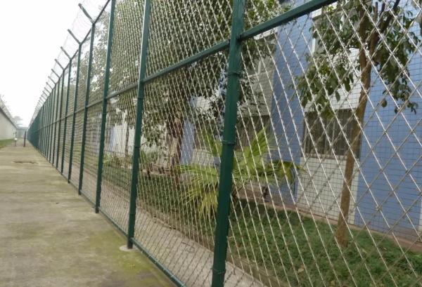 High Security Razor Wire Fence Welding Mesh 50mm*50mm