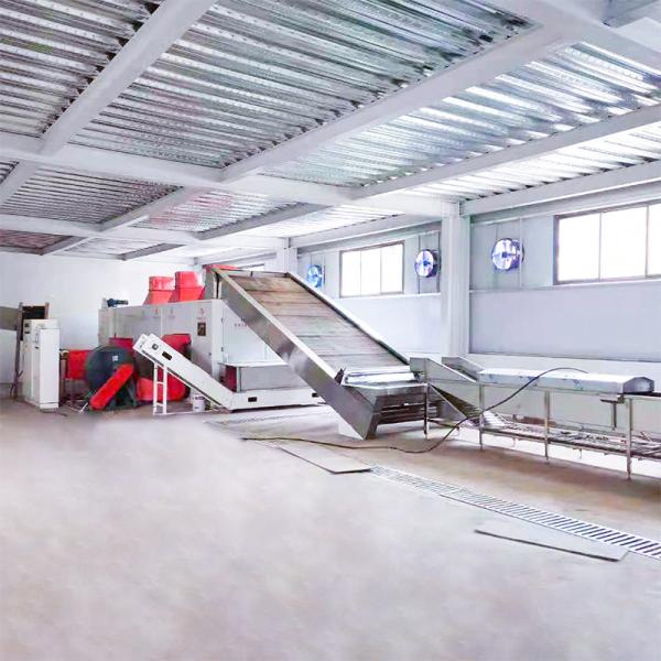 Multifunctional Pomace Mesh Belt Dryer Machine 4Layer Stainless Steel Door Lock Hinged