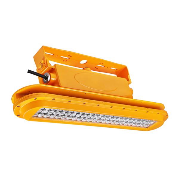 650*130*208.5 mm 40w Strip LED Explosion-proof Light for Indoor/Outdoor Applications