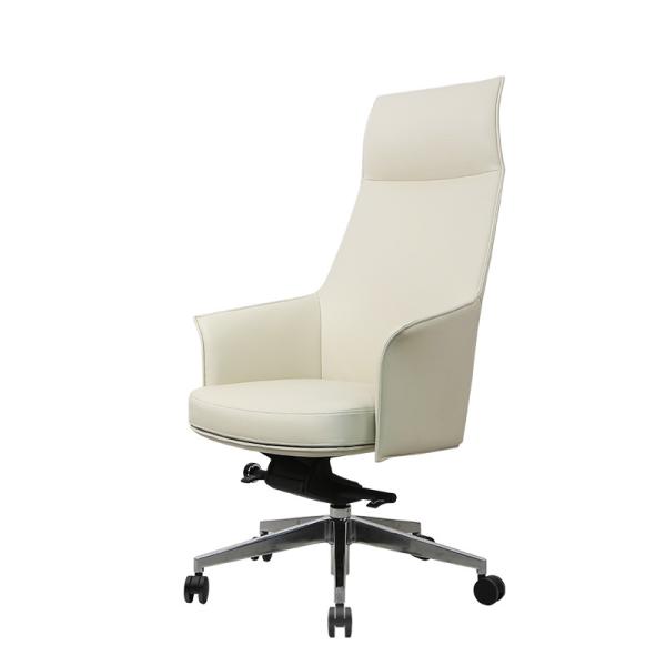 Haute de retour ergo chaise 18KGS de bureau de chaise ergonomique de la tâche EN