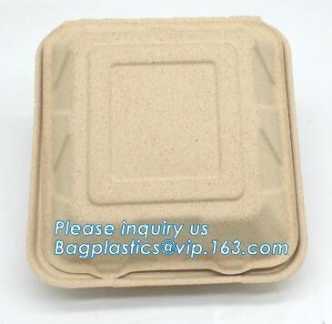 biodegradable food tray for fruit or snack biodegradable corn starch disposable plastic food tray PLA Foamed Biodegradab