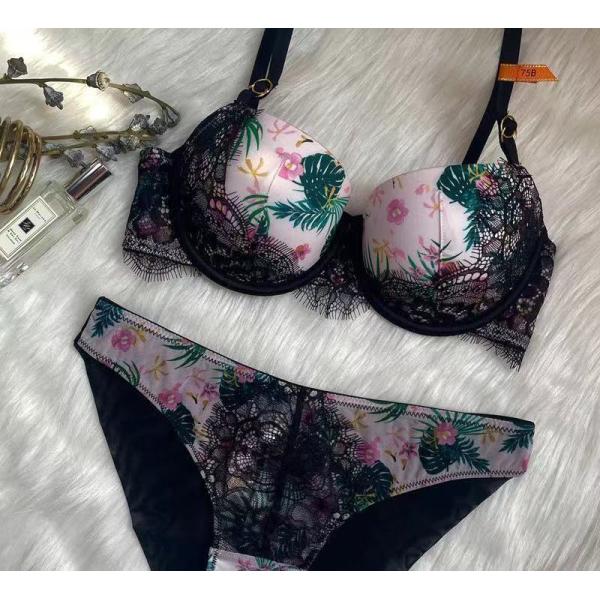 Ретро напечатанное нижнее белье дам устанавливает ровные собранные сексуальные бюстгальтеры шнурка