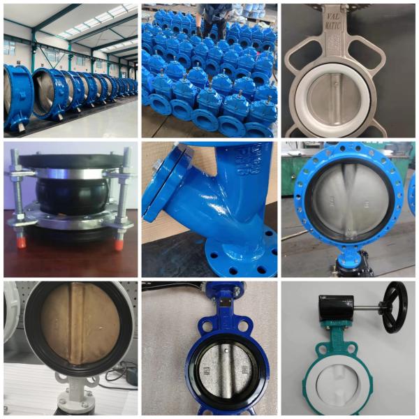 Cast Ductile Iron BS en593 ANSI DIN JIS double flanged centerline Huge Big Size Manual Wormgear Butterfly valves Price