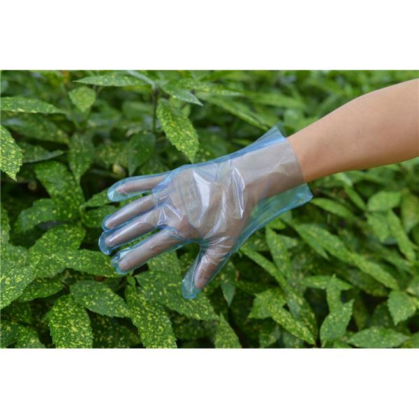 Одиночные перчатки TPE пользы только устранимые делают водостойким для пищевой промышленности