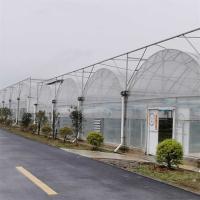 Estufa de aço do período do mergulho quente filme plástico galvanizado da multi para o crescimento da planta