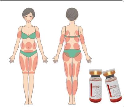Dissolva a lipólise VERMELHA da ampola do soro Lipolytic gordo