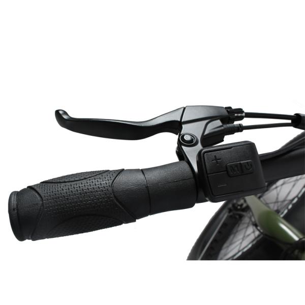 20 Inch 500w Electric Bike 8 Speed Fat Tyre Adult E Bicycle with 2 Seats and Foot Rest