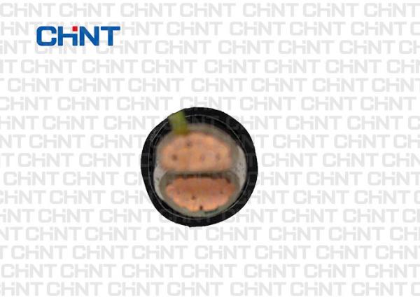 Cabo distribuidor de corrente blindado da fita de aço, cor do preto do núcleo do cabo da corrente elétrica multi