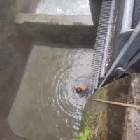 Traitement fin mécanique de séparation de solide-liquide de filtre de déchets d'écran de barre des déchets ISO9001 rotatoires