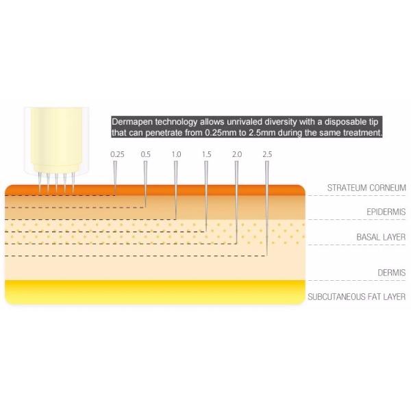 6 in 1 Derma Roller Kit with Ice Roller Skin Cooling Derma Care Facial Beauty NO Plugs Type