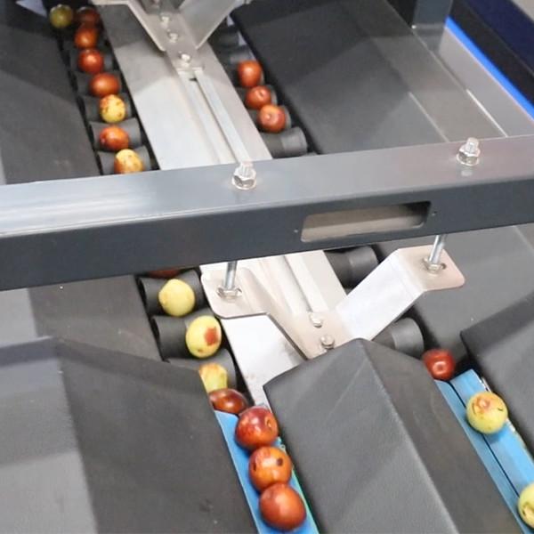 8 Channels Mechanical Jujubes Sorting Machine White 380V Fruit Grading Machine