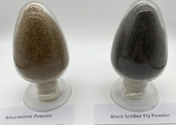 Low Ash Black Soldier Protein Powder High Fat Calcium Iron