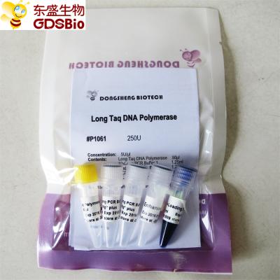 Polimerase de ADN longa P1061 de Taq 250U