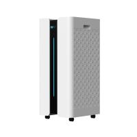 Transform Your Home into a Healthy and Fresh Environment with Our Domestic Air Purifier