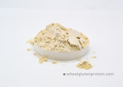 Proteína natural amarelo claro Gluteno de trigo vital seco para a indústria alimentar