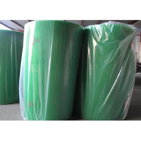 сад 100mm пластиковый ловя сетью равнину Hdpe шестиугольного отверстия белую прессованную