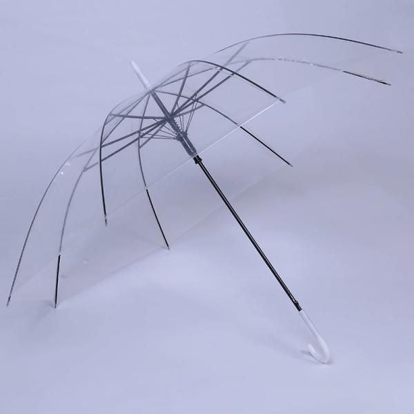 Transparent Fabric Auto Open Customized Straight Umbrella for Promotion Advertising