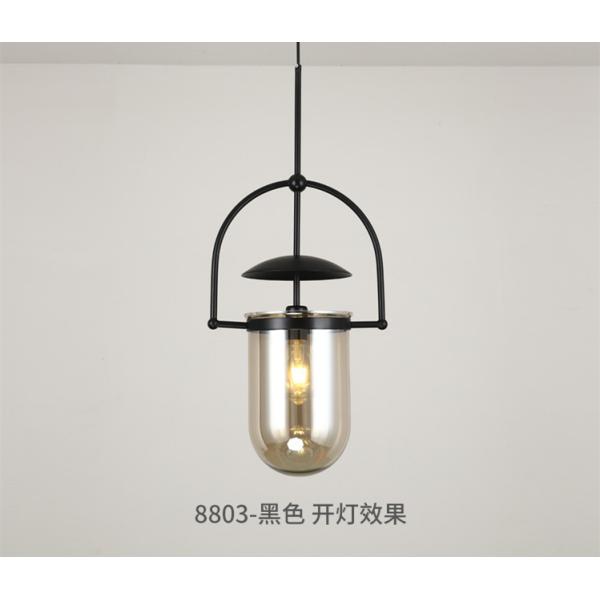 Postmodern Led Pendant Lights Designer Glass Hanglamp For Living Room Bedroom Study Bar Glass Decor Lamp(WH-GP-166)