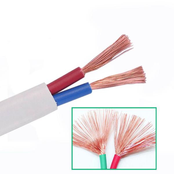 JB/T8734.2012 Standard 2core Twin PVC Insulated Copper Conductor Electric Cable Wire