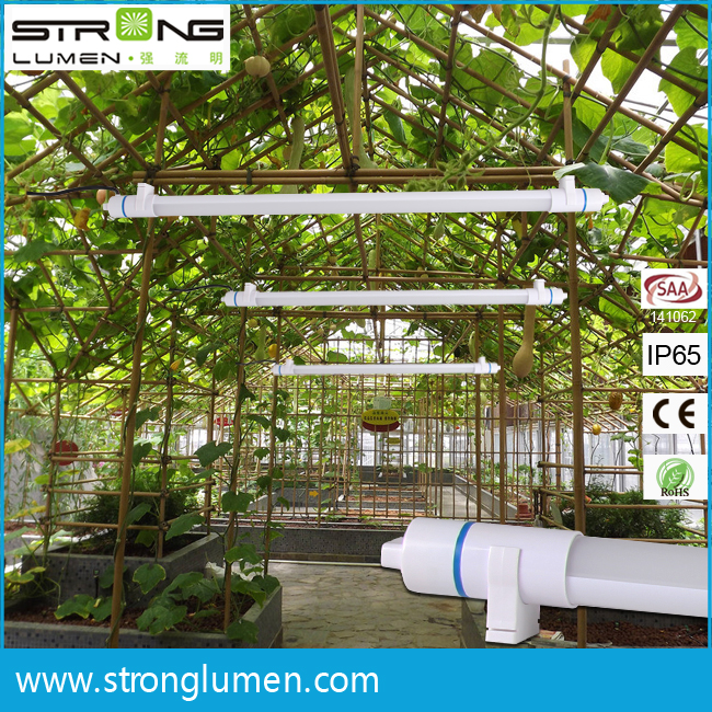 OEM Design IP65 LED Tube Used for Supermarket