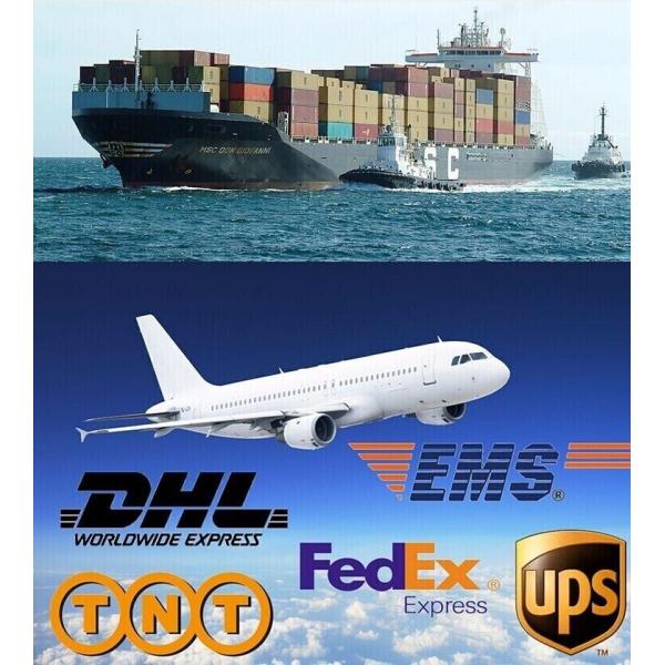 Amis de la famille Jouet d'équilibre en bois en caoutchouc en bois Jeu de bowling en bois