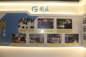 Hefei Guofeng Advanced Basic Materials Technology Co., Ltd.