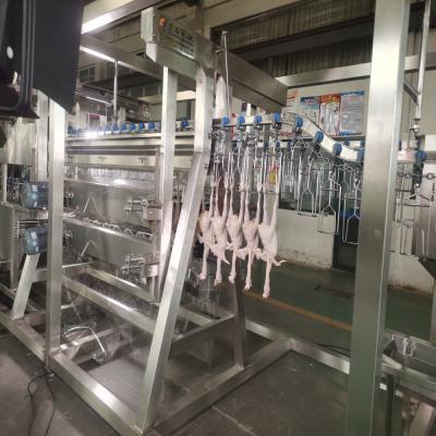 Desenho personalizado Linha de produção de abate de frangos Nanjing Changxun Equipamento de matadouro