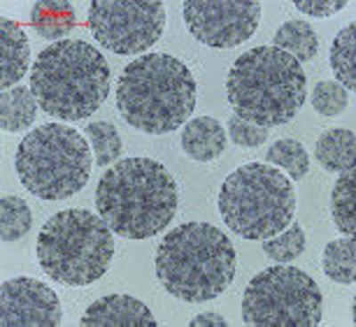 1000 mL Agarose Carboxyl Magbeads For Protein Purification 20% Volume Ratio
