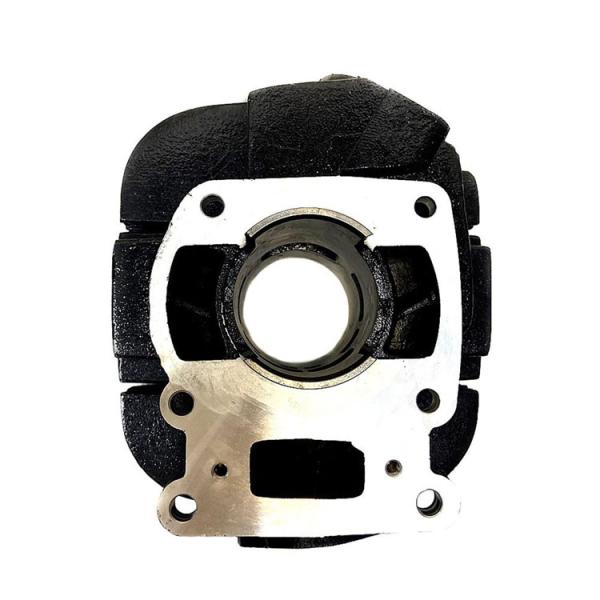 Replace/Repair Purpose Cylinder Head for Yamaha TS 125 Motorcycle Parts and Accessories