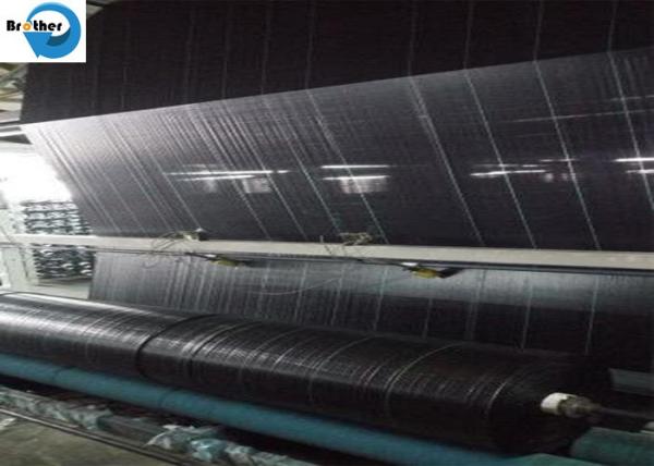 Growing Cucumbers with Spunbond Agriculture Non Woven Cover, Seedling Tomato Weed Control Fabric
