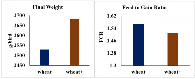 White NSP Enzyme Heat Stable Multi Digestive Enzyme Light Brown Powder For Wheat Barley