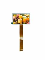 Affichage LCD TFT de 4,3 pouces numérique de jeu de voiture RGB 480x272 Résolution avec 12 heures