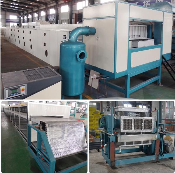 Rotary Pulp Molding Waste Paper Egg Carton Machine 3000pcs/H