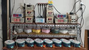 Zhongshan IPS Electric Factory