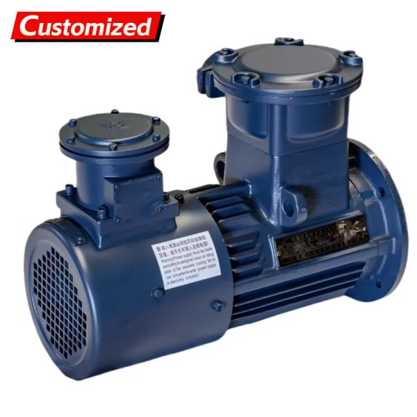 Flameproof 5.5~11kW 750rpm Three-Phase Asynchronous Motor with Variable Frequency Drive for Industrial Applications