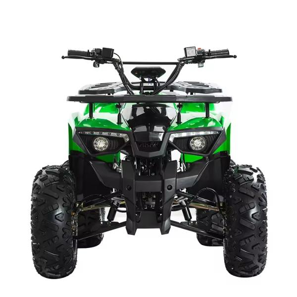 125cc Engine Quadbike ATV Motorcycle Engine 125cc for Differential Lock Unequipped