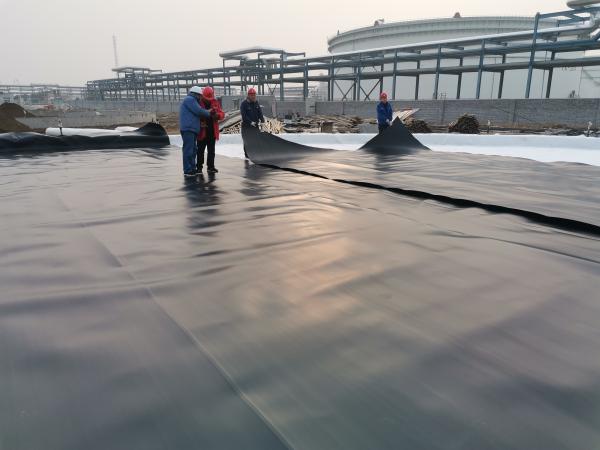 HDPE Geomembrane for Dam Landfill Aquaculture Fish Farm Pond Liner Waterproofing Materials