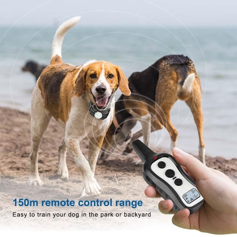Waterproof Rechargeable Electric Dog Shock Collar Smart Pet Training Supplies with 3 Safe Modes Made of Plastic and Nylon