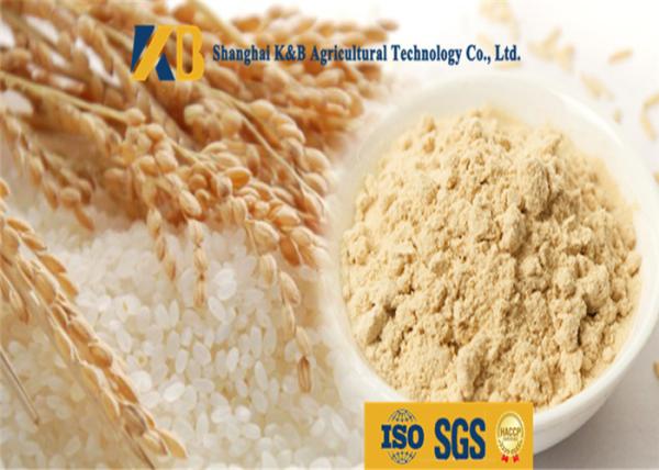 Non Allergen Lactose Free Rice Protein Nutrition For Healthy Food Addictive