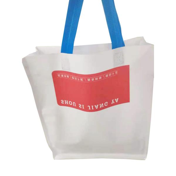 Mylar Lamination Gift Packaging Bag 10kgs Custom Shopping Bag With Carry Rope