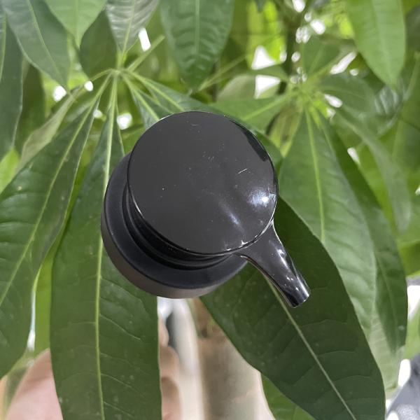 24/410 Двухстенный лосьонный насос Мат закрытие для шампуня выход 2cc Fob Ningbo 2cc