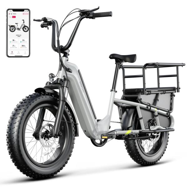 20 Inch Fat Tire  Rack for Carrying Goods & Passengers, Powerful Motor, Long Range Long Tail Electric Bike with Cargo