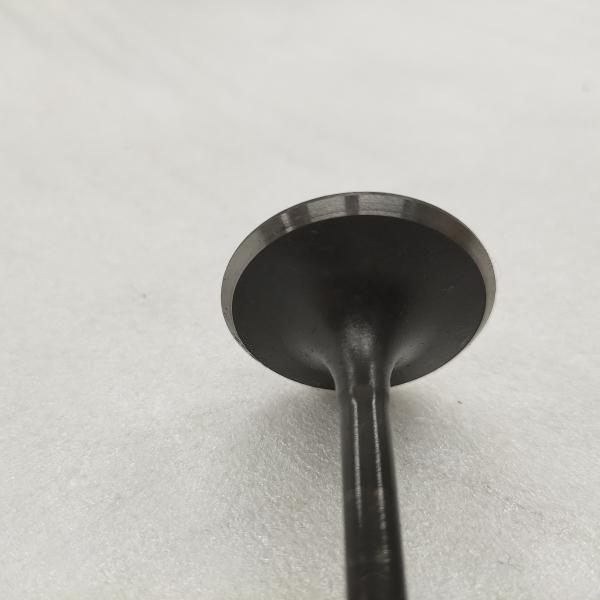 DAYANG moto à trois roues tricycle moteur en fer noir soupape de forgeage avec des matériaux