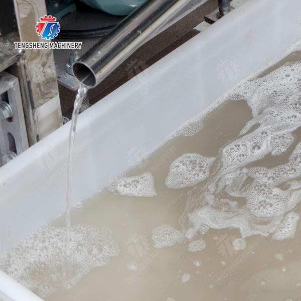 Fruit Vegetable Celery Juice kale Kale Juice Spinach juice Juice made from wild cherry plums Spiral juice extractor