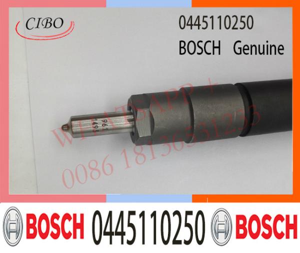 0445110250 Injecteur de carburant Bosch 0445110250 0986435123 0986435123 Pour FORD Ranger / Mazda BT-50 WLAA-13-H50 WLAA13H50