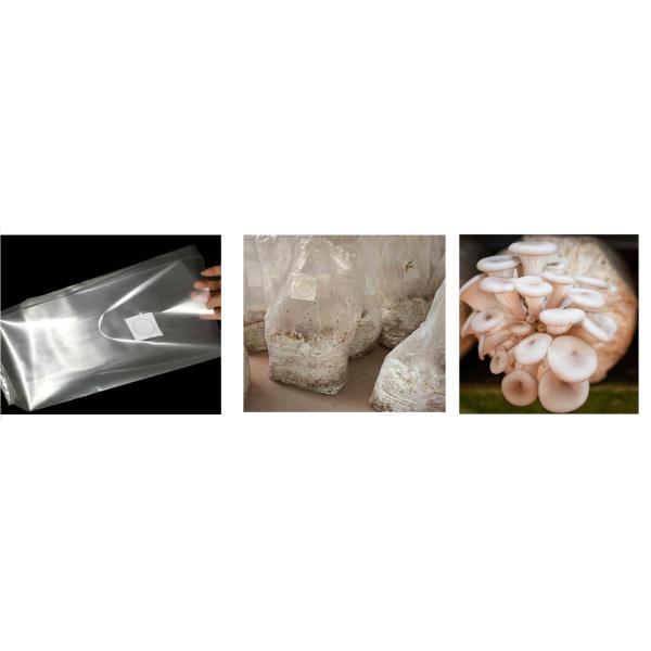 0Membrane EPTFE soudable de 0,2 μm pour sacs alimentaires à spores de champignons fournitures de jardinage sacs de culture de champignons