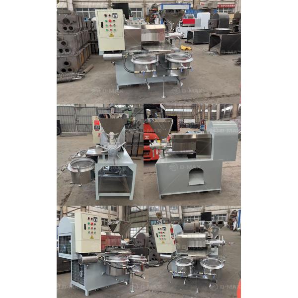 80-160kg/h High Output Spiral Canola Oil Making Machine for Vegetable Seeds Sunflower Oil